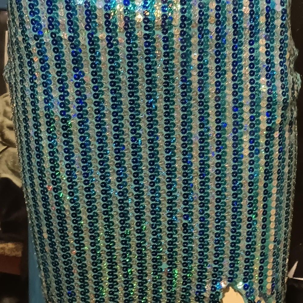 Blue and Green Sequin Top